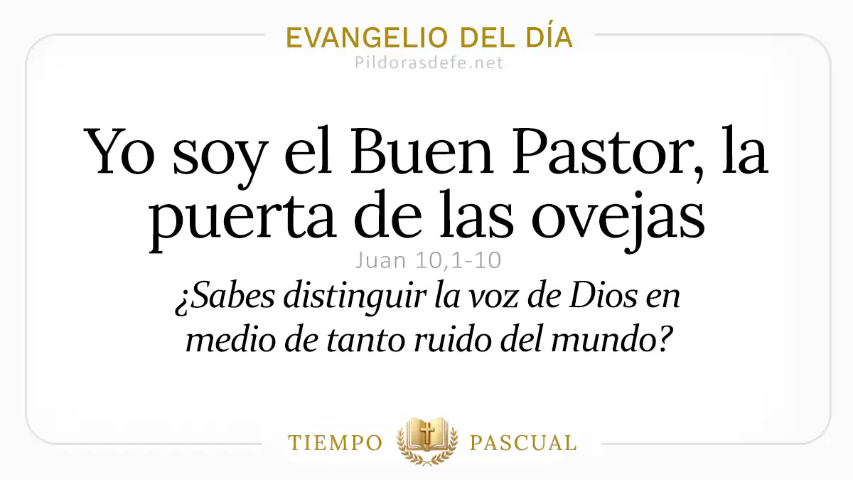 Evangelio del dia Domingo Juan    Yo soy el Buen Pastor  abril webp