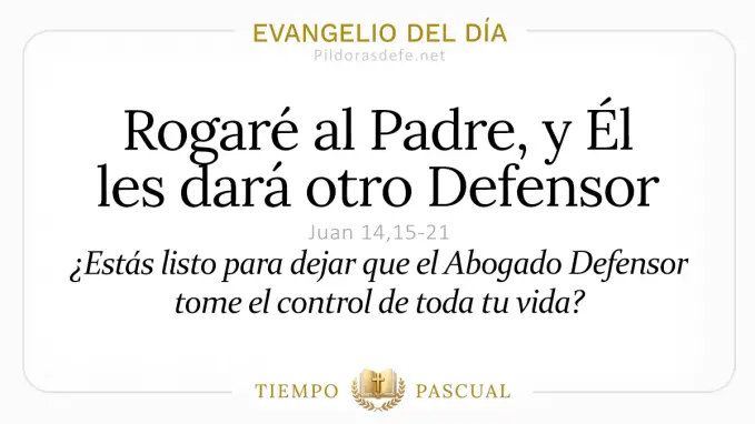Evangelio del dia Domingo Juan    El Padre dara otro Defensor  mayo 