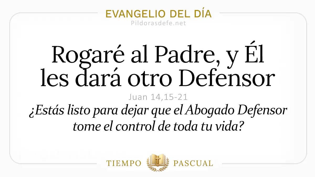 Evangelio del dia Domingo Juan    El Padre dara otro Defensor  mayo webp