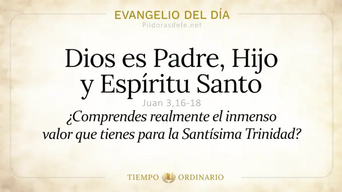 Evangelio del dia Domingo Juan    Santisima Trinidad  may 