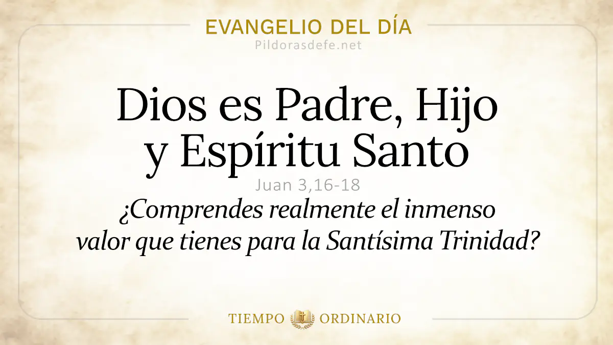 Evangelio del dia Domingo Juan    Santisima Trinidad  may webp