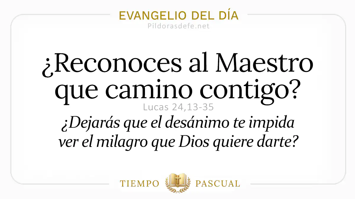 Evangelio del dia Domingo Lucas Camino de Emaus Abril webp