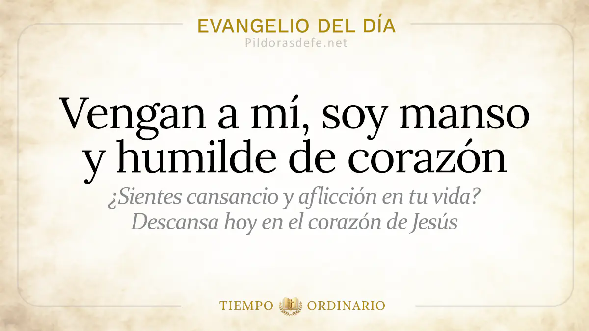 Evangelio del dia Domingo Mateo    Soy manso humilde de corazon  jul webp