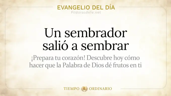 Evangelio del dia Domingo Mateo    Parabola sembrador  jul 