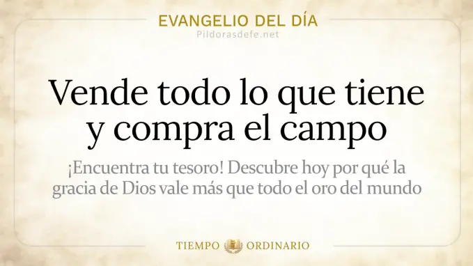 Evangelio del dia Domingo Mateo    Vende lo que tiene y compra el campo  jul 