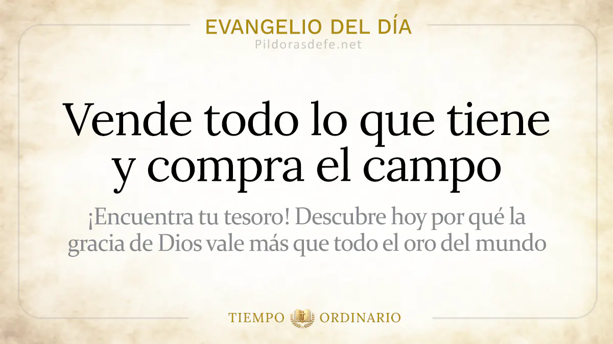 Evangelio del dia Domingo Mateo    Vende lo que tiene y compra el campo  jul webp