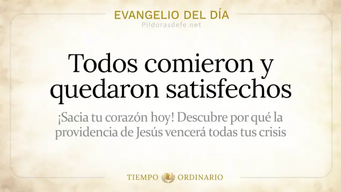 Evangelio del dia Domingo Mateo    Comieron y quedaron satisfechos  Agosto 