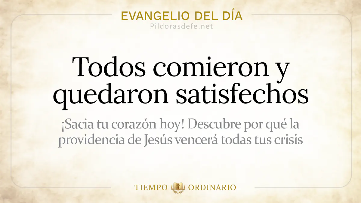 Evangelio del dia Domingo Mateo    Comieron y quedaron satisfechos  Agosto webp