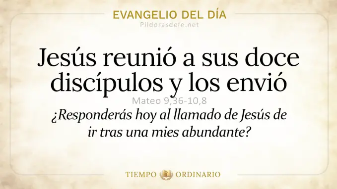 Evangelio del dia Domingo Mateo     Jesus envio a sus doce discipulos  jun 