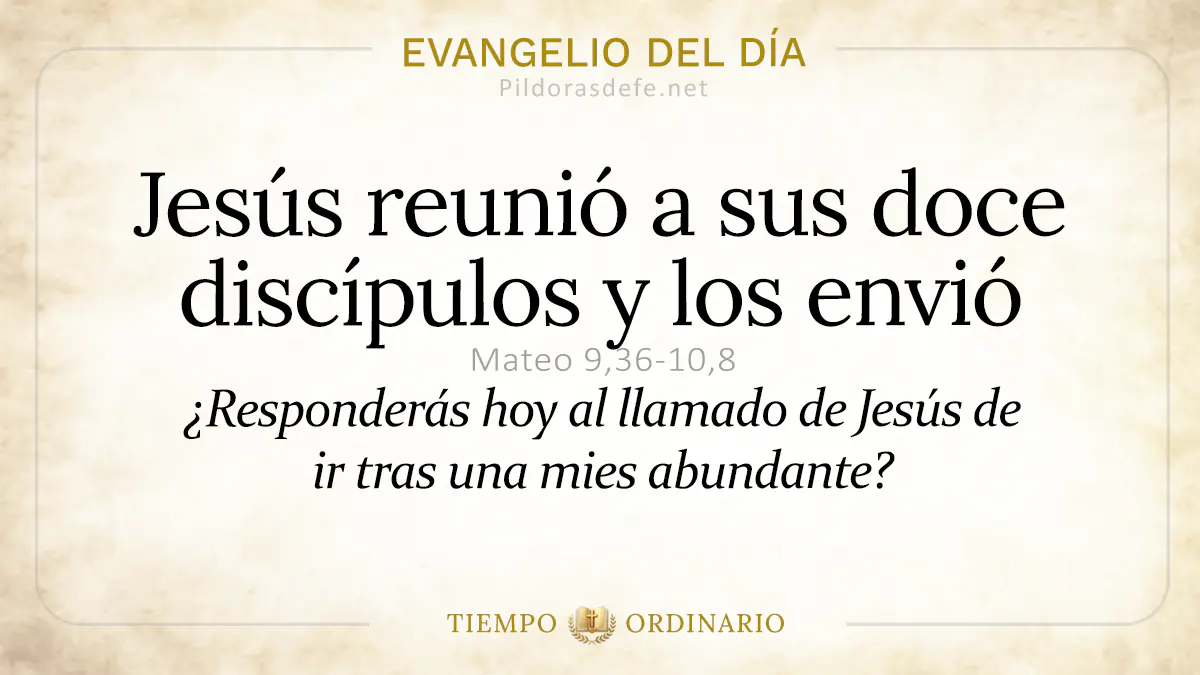 Evangelio del dia Domingo Mateo     Jesus envio a sus doce discipulos  jun webp
