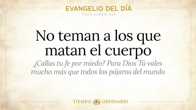 Evangelio del dia Domingo No teman a los que matan el cuerpo  jun 