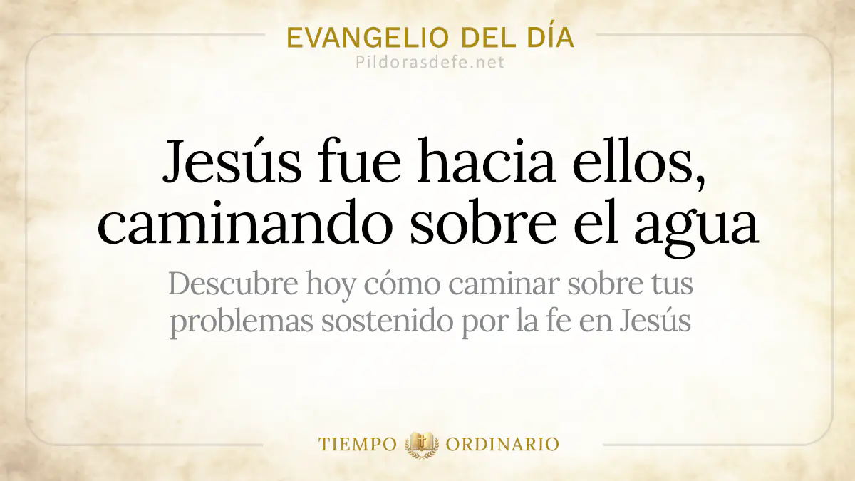 Evangelio del dia Domingo San Mateo    Jesus camina sobre el agua webp