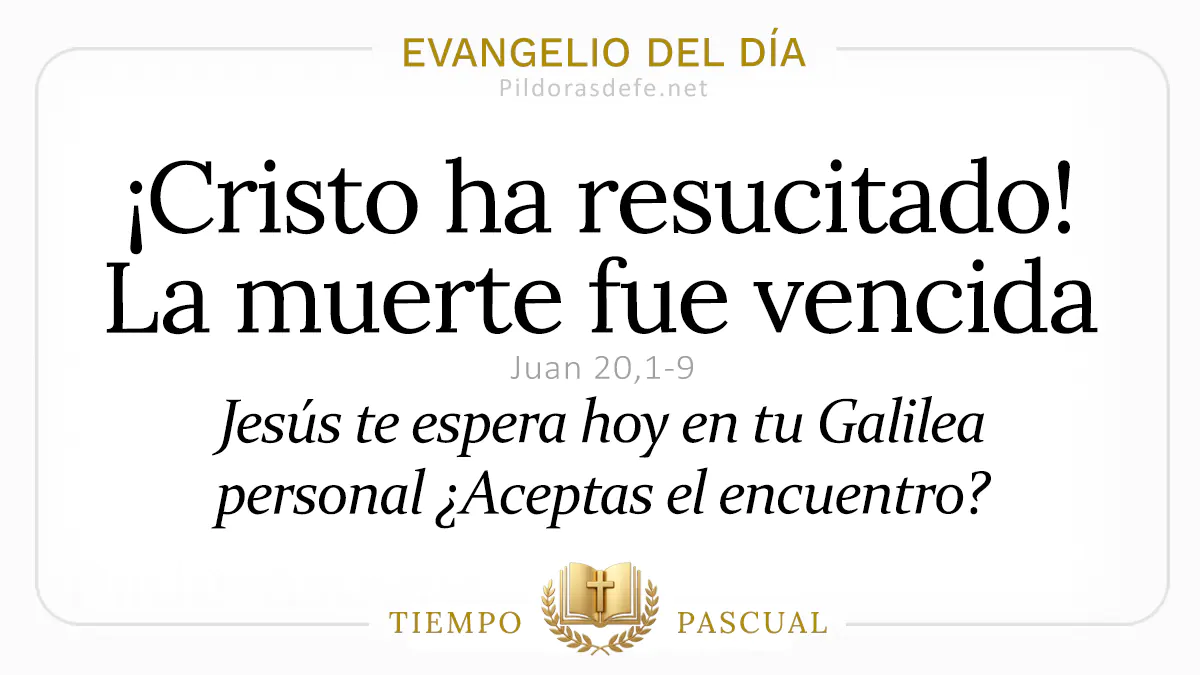 Evangelio del dia Domingo de Pascua Juan    Cristo ha resucitado  Abril webp