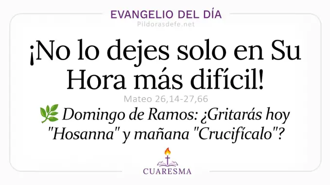 Evangelio del dia Domingo de Ramos Mateo     Pasion de nuestro Senor  Mar 