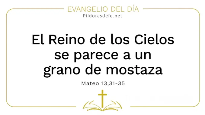 Evangelio del dia El Reino de Dios grano de mostaza Mateo    Cita Biblica   