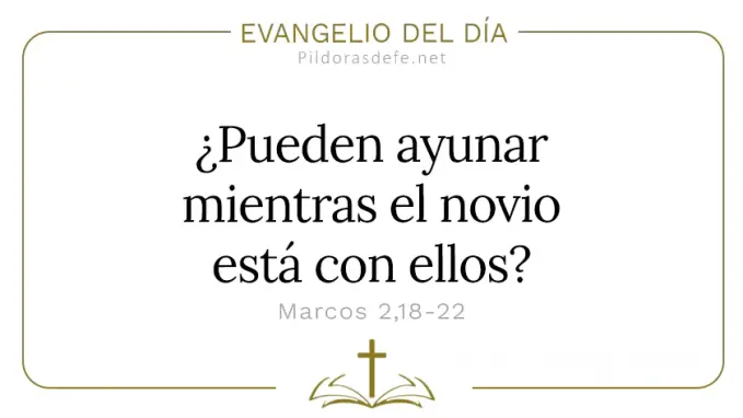 Evangelio del dia El novio esta con ellos Marcos    Cita Biblica   