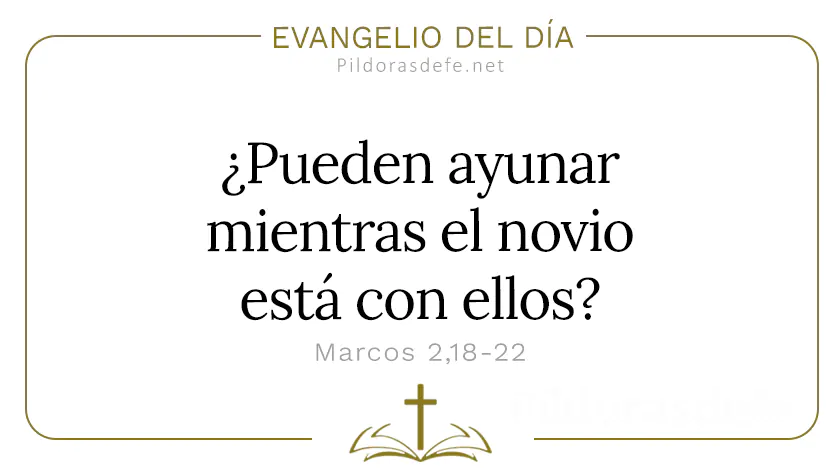 Evangelio del dia El novio esta con ellos Marcos    Cita Biblica   webp
