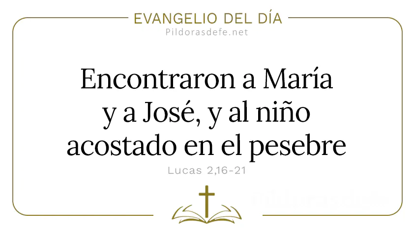 Evangelio del dia Encontraron a Jose Maria nino en el pesebre Lucas    Cita Biblica   webp