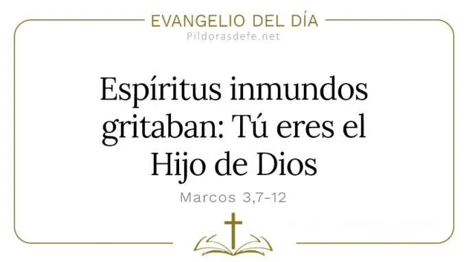 Evangelio del dia Espiritus inmundos gritaban Tu eres Hijo de Dios Marcos    Cita Biblica   