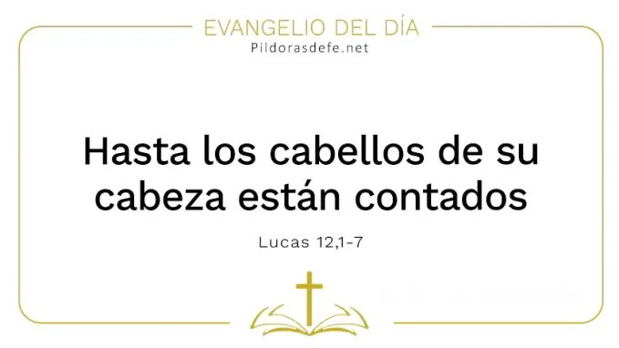 Evangelio del dia Estan contados todos sus cabellos Lucas    Cita Biblica   