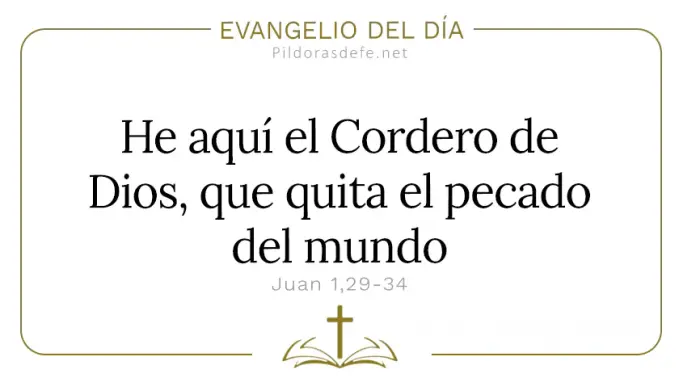 Evangelio del dia Este es el Cordero de Dios Juan    Cita Biblica   