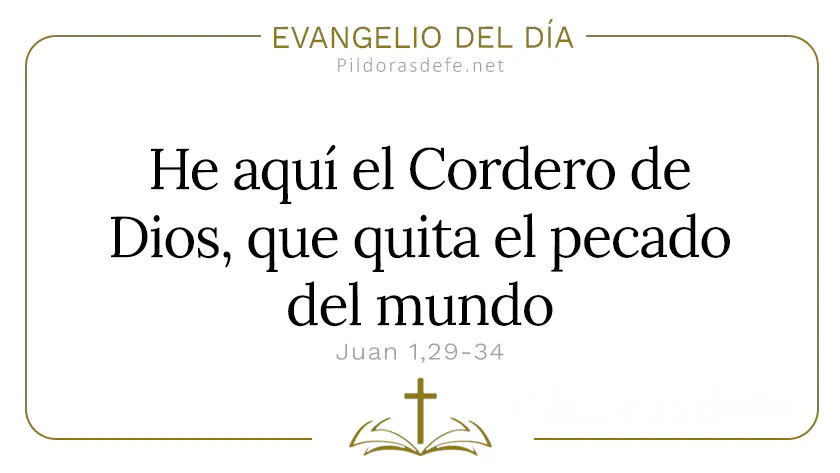 Evangelio del dia Este es el Cordero de Dios Juan    Cita Biblica   webp