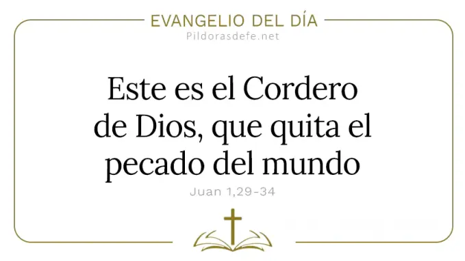 Evangelio del dia Este es el Cordero de Dios Juan    Cita Biblica   
