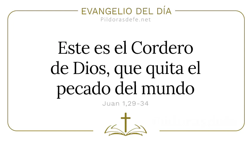 Evangelio del dia Este es el Cordero de Dios Juan    Cita Biblica   webp