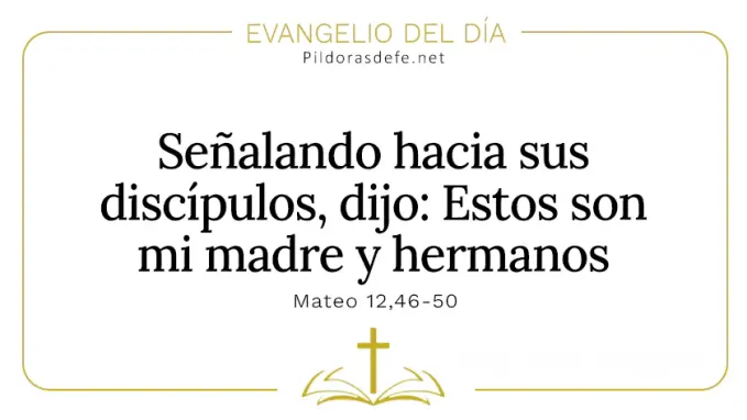 Evangelio del dia Estos son mi Madre y hermanos Mateo    Cita Biblica   