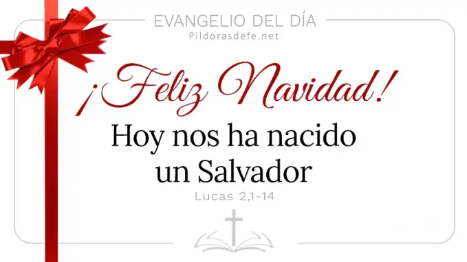 Evangelio del dia Feliz Navidad Hoy nos ha nacido un Salvador Nochebuena lucas    Cita Biblica   