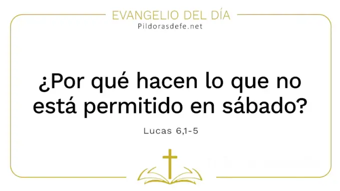 Evangelio del dia Hacen lo que no es permitido en sabado Lucas    Cita Biblica   