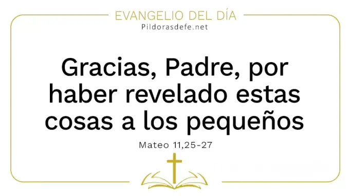 Evangelio del dia Has revelado estas cosas pequenos Mateo    Cita Biblica   