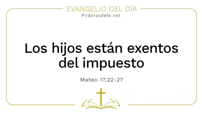 Evangelio del dia Hijos exentos de impuestos Mateo    Cita Biblica   