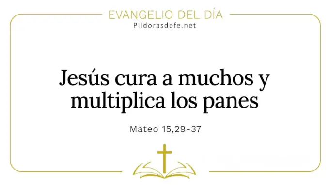 Evangelio del dia Jesus cura muchos enfermos multiplica panes Mateo    Cita Biblica   