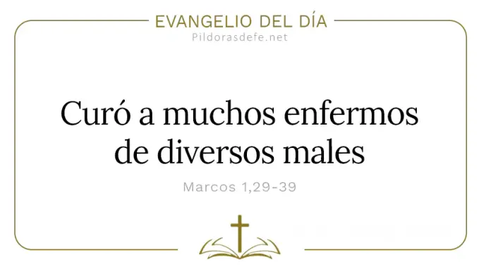 Evangelio del dia Jesus curo a muchos enfermos diversos males Marcos    Cita Biblica   