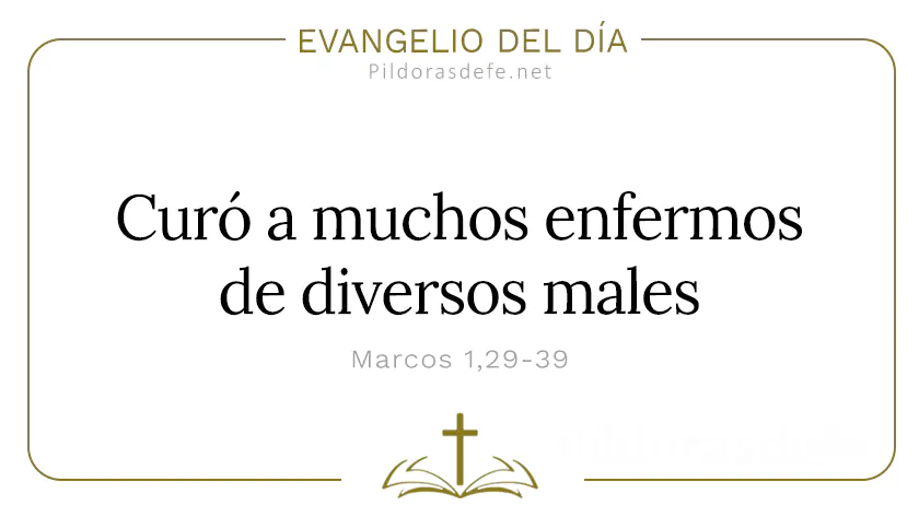 Evangelio del dia Jesus curo a muchos enfermos diversos males Marcos    Cita Biblica   webp