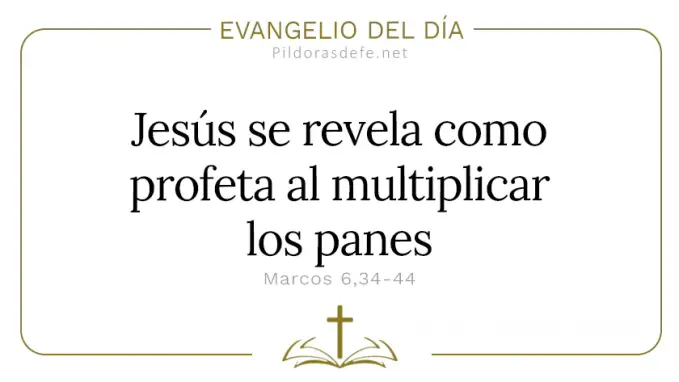 Evangelio del dia Jesus se revela profeta multiplicacion de los panes Marcos    Cita Biblica   
