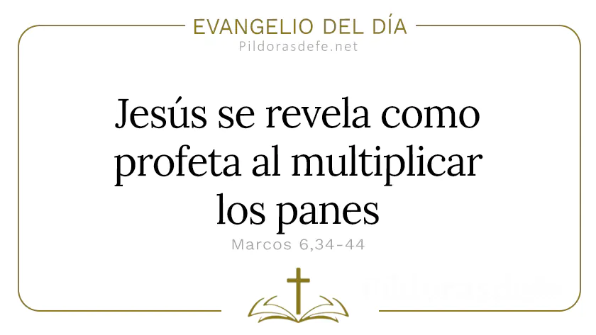 Evangelio del dia Jesus se revela profeta multiplicacion de los panes Marcos    Cita Biblica   webp