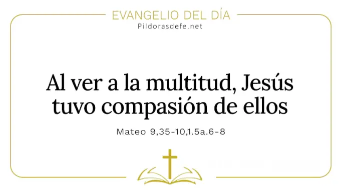 Evangelio del dia Jesus tuvo compasion de ellos Mateo     a   Cita Biblica   