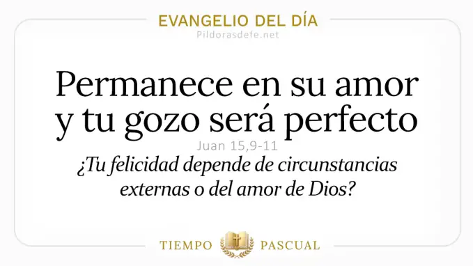 Evangelio del dia Jueves Juan    Permanezcan en mi amor  mayo 