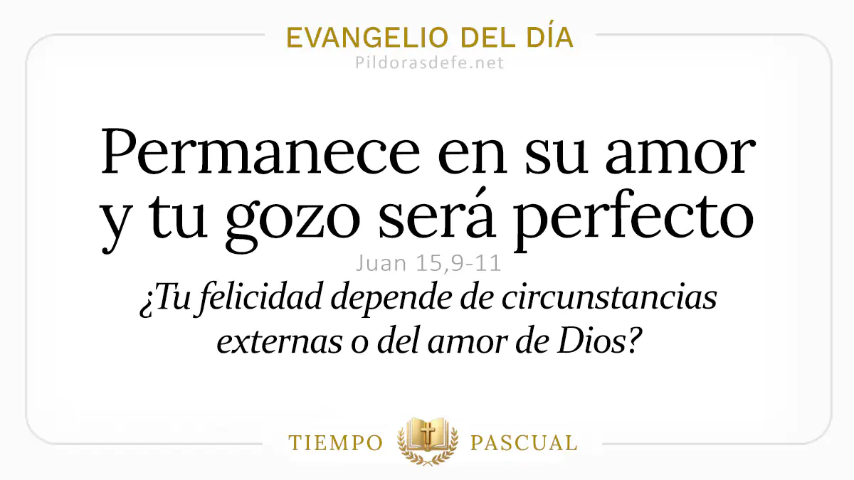 Evangelio del dia Jueves Juan    Permanezcan en mi amor  mayo webp