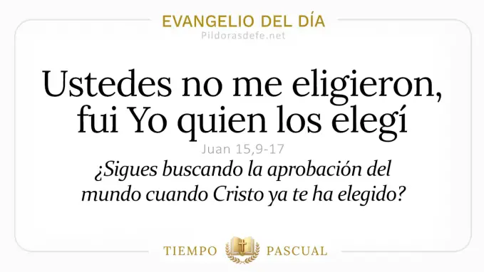 Evangelio del dia Jueves Juan    Ustedes no me eligieron  mayo 