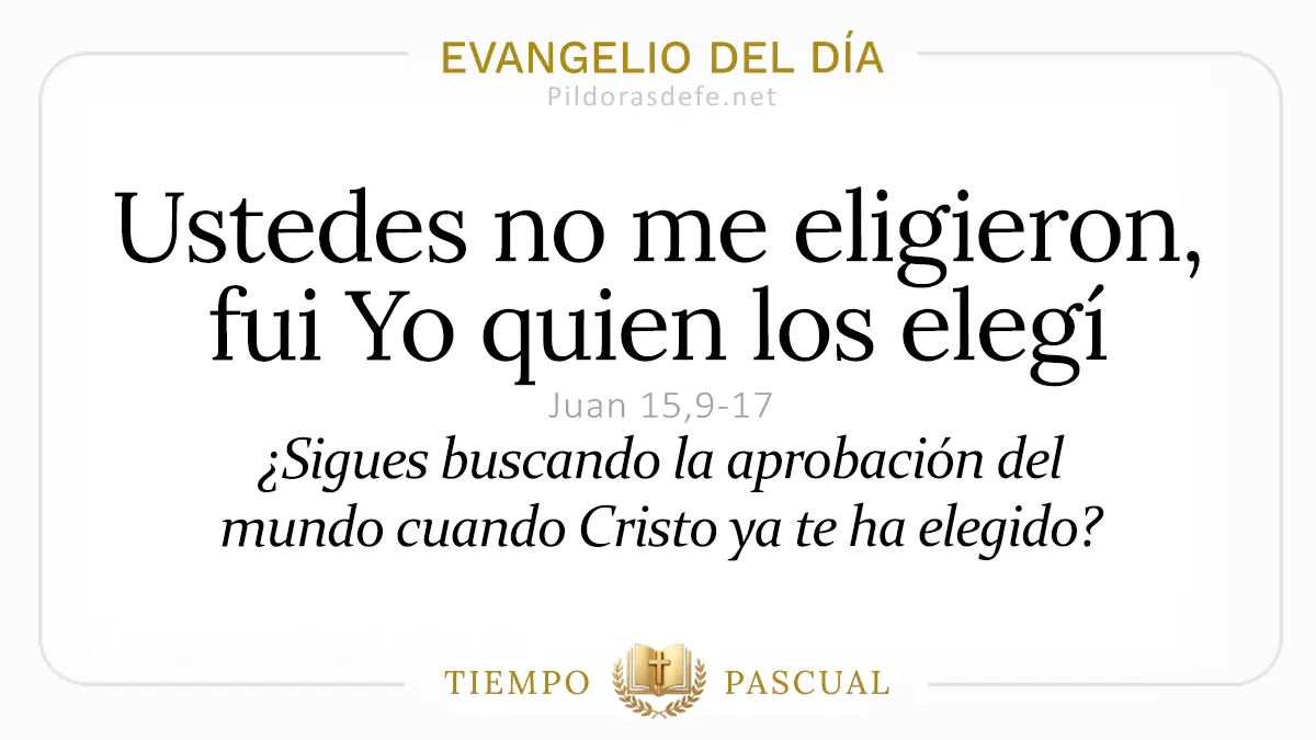 Evangelio del dia Jueves Juan    Ustedes no me eligieron  mayo webp