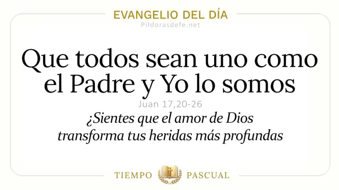 Evangelio del dia Jueves Juan    Que todos sean uno  may 