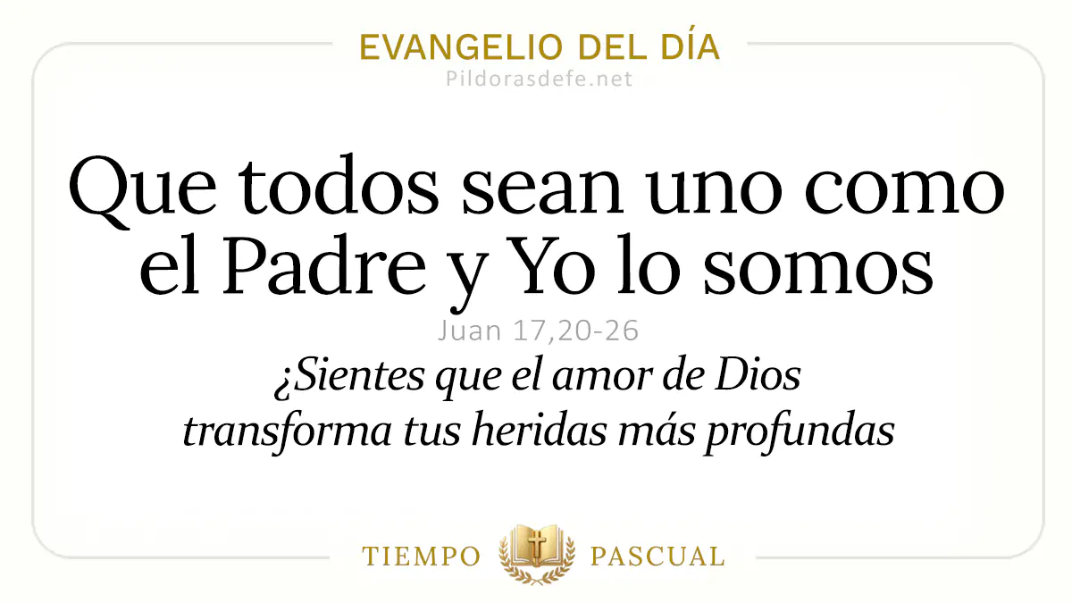 Evangelio del dia Jueves Juan    Que todos sean uno  may webp
