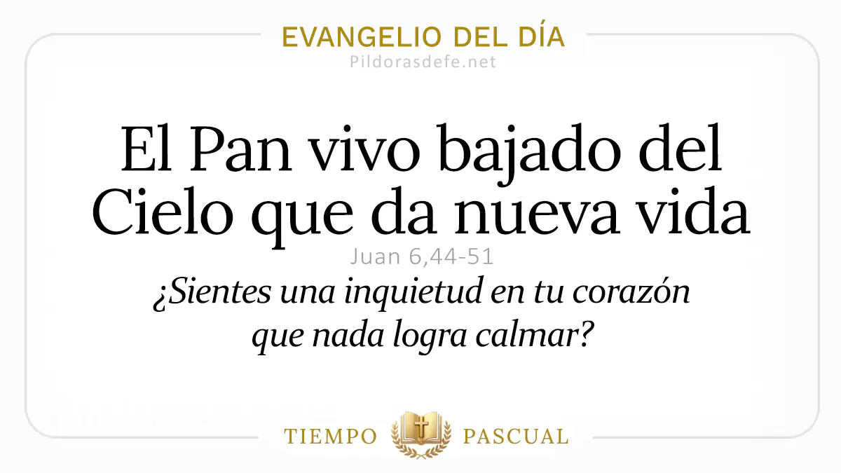 Evangelio del dia Jueves Juan    El Pan vivo bajado del Cielo  Abril webp