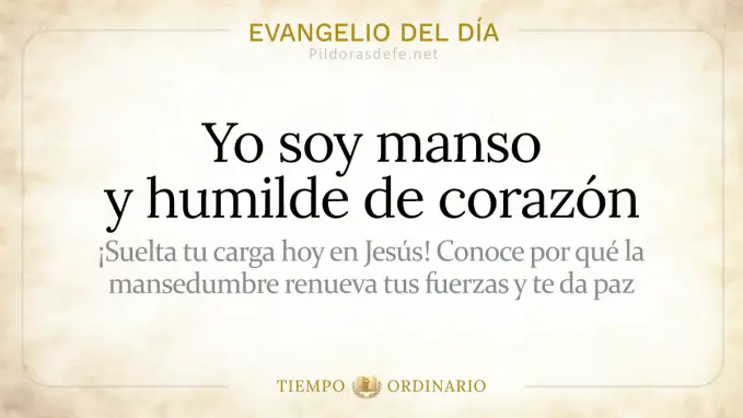 Evangelio del dia Jueves Mateo    Soy manso humilde de Corazon de Jesus  jul 