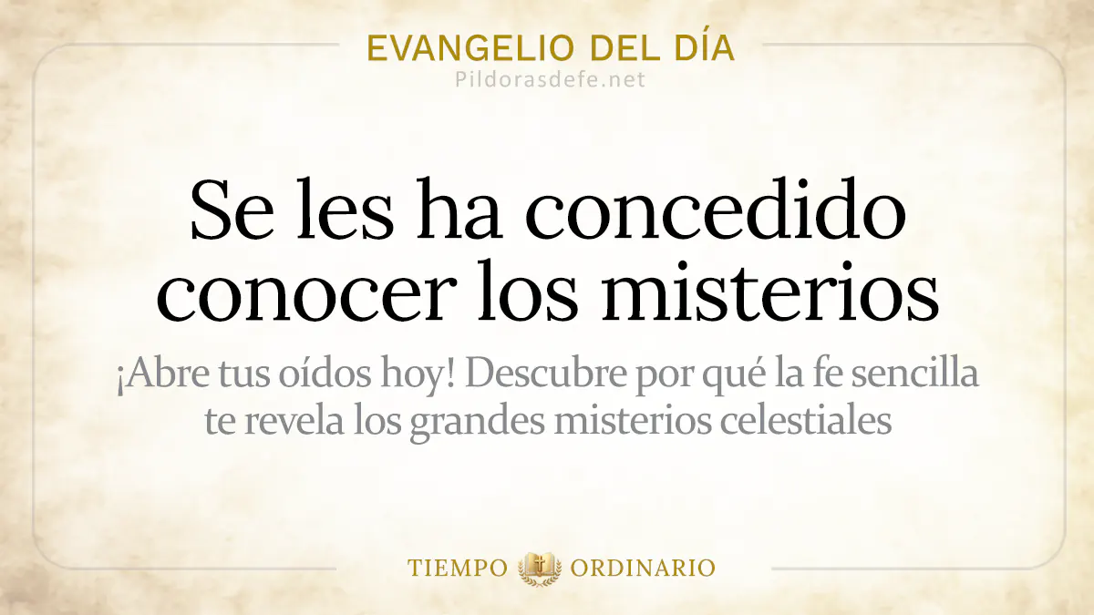 Evangelio del dia Jueves Mateo    Se les ha concedido conocer los misterios  jul webp