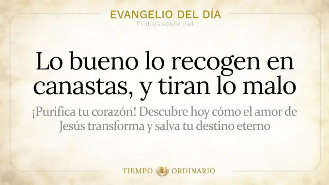 Evangelio del dia Jueves Mateo    Lo bueno recogen en canastas tiran lo malo  jul 