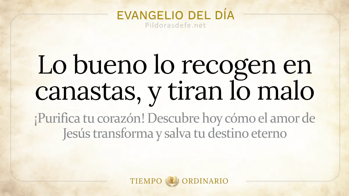 Evangelio del dia Jueves Mateo    Lo bueno recogen en canastas tiran lo malo  jul webp